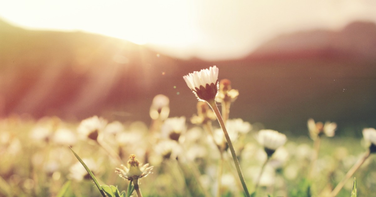 SpringAllergies-Blog-Featured-Image-5e4ad38b0cf67